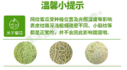 哈密瓜和网纹蜜瓜哪个好吃点,口感与营养的甜蜜较量，哪个更胜一筹？