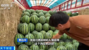 吃瓜网首经贸,吃瓜网带你揭秘校园生活点滴