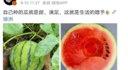 在哪里可以吃娱乐圈的瓜,娱乐圈八卦盛宴，美食与瓜子的完美邂逅