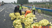 武都网红吃瓜群众,揭秘网络热点背后的故事