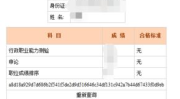 公务员考试查分,副标题撰写技巧与策略”