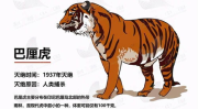 巴里虎,灭绝的迷你版“森林之王”
